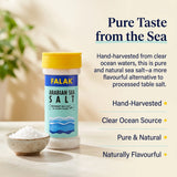 Arabian Sea Salt - 150gm